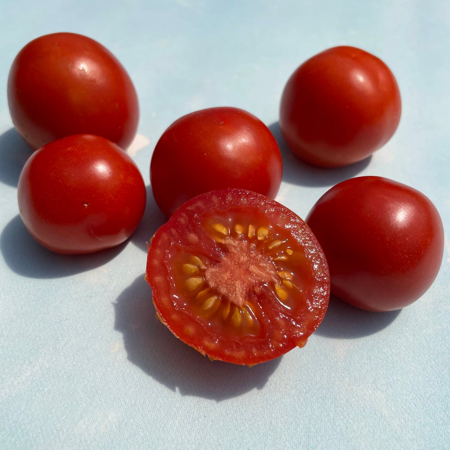 Gardener's Delight Tomato