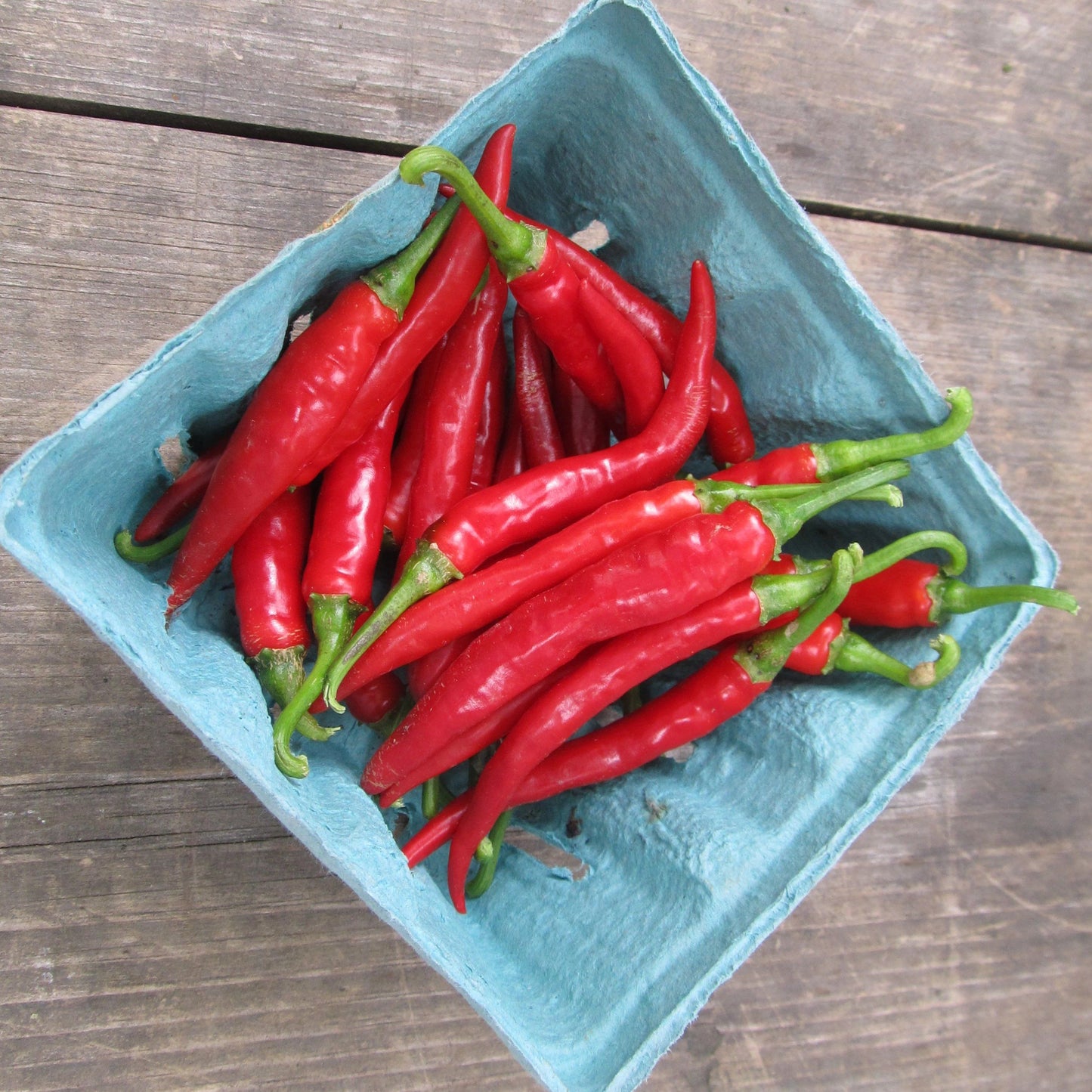 Joe's Long Cayenne Pepper vendor-unknown