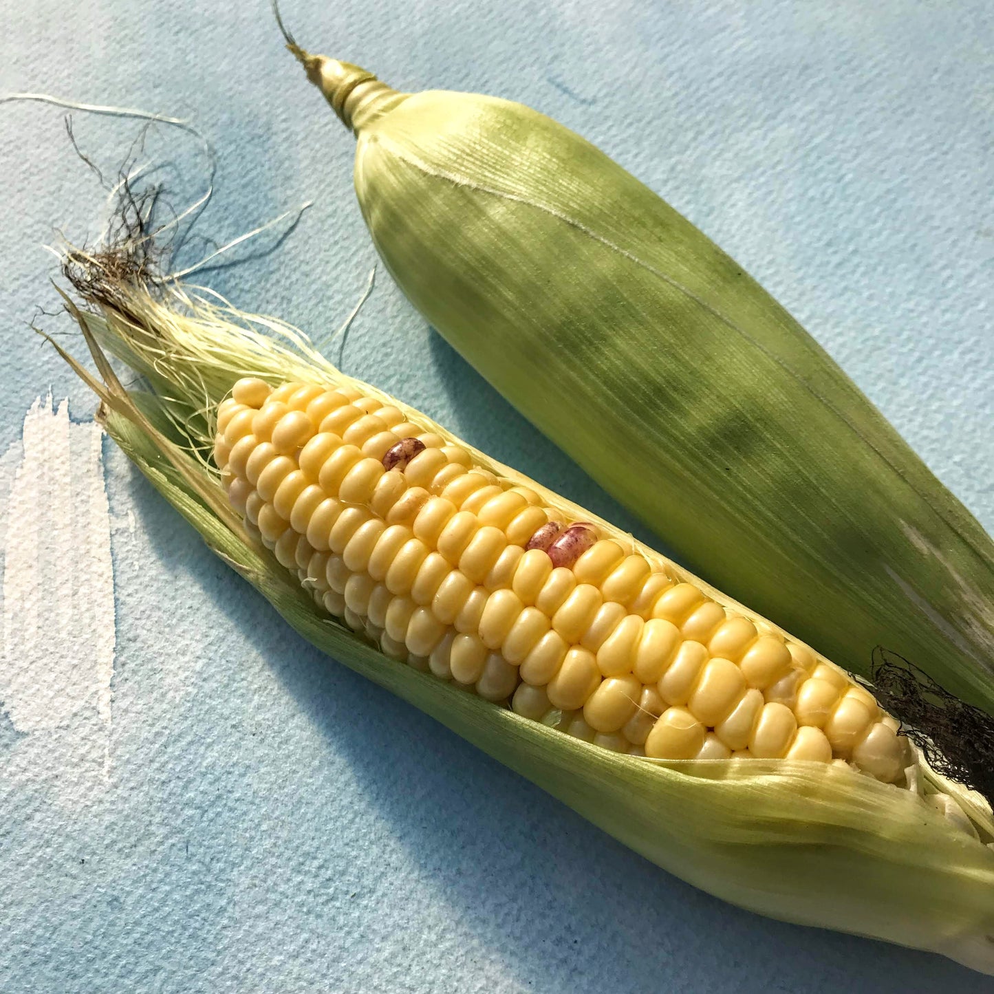 Top Hat Sweet Corn