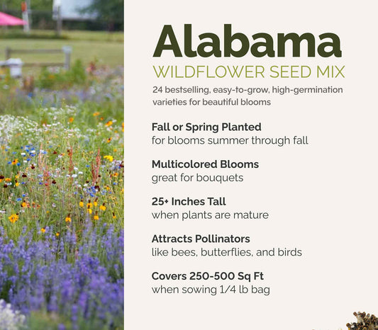 A visual overview of the wildflower seed mix, showcasing expected floral blooms.