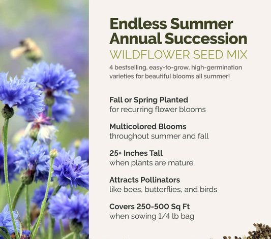 A visual overview of the wildflower seed mix, showcasing expected floral blooms.