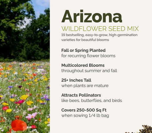 A visual overview of the wildflower seed mix, showcasing expected floral blooms.