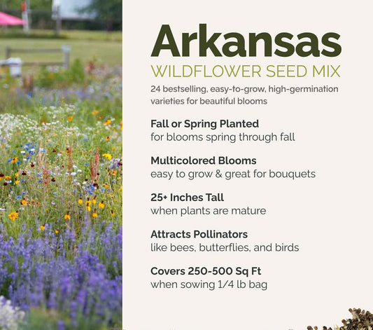 A visual overview of the wildflower seed mix, showcasing expected floral blooms.
