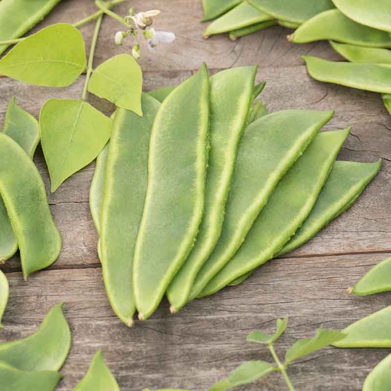 Fordhook 242 bush lima beans, light green and plump, arranged neatly on a brown surface. | copyright: Floramedia UK Ltd