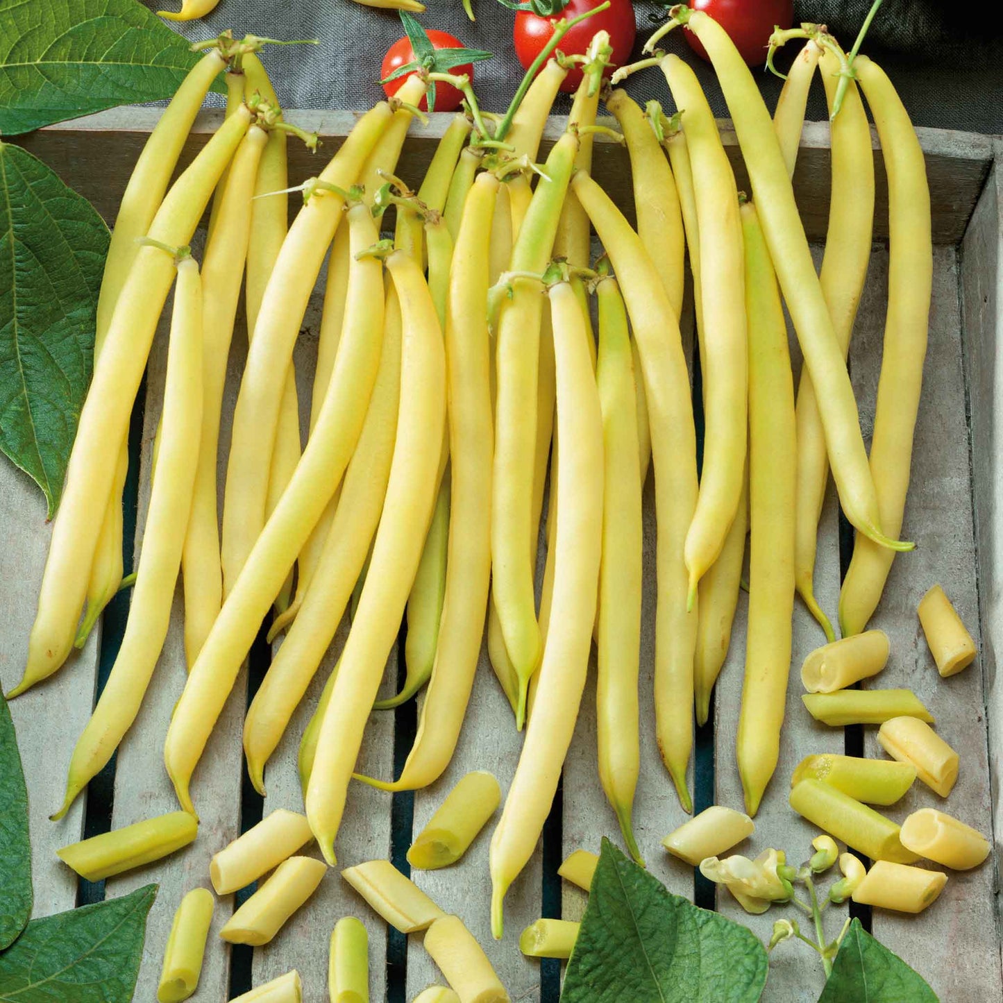 Close-up of vibrant yellow pencil pod wax beans hanging to be dried.
