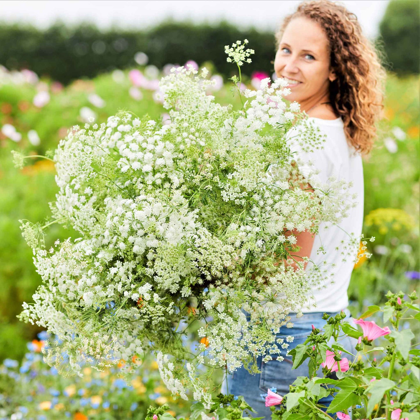 A person holding a bouquet of bishop flower flowers in a garden setting.