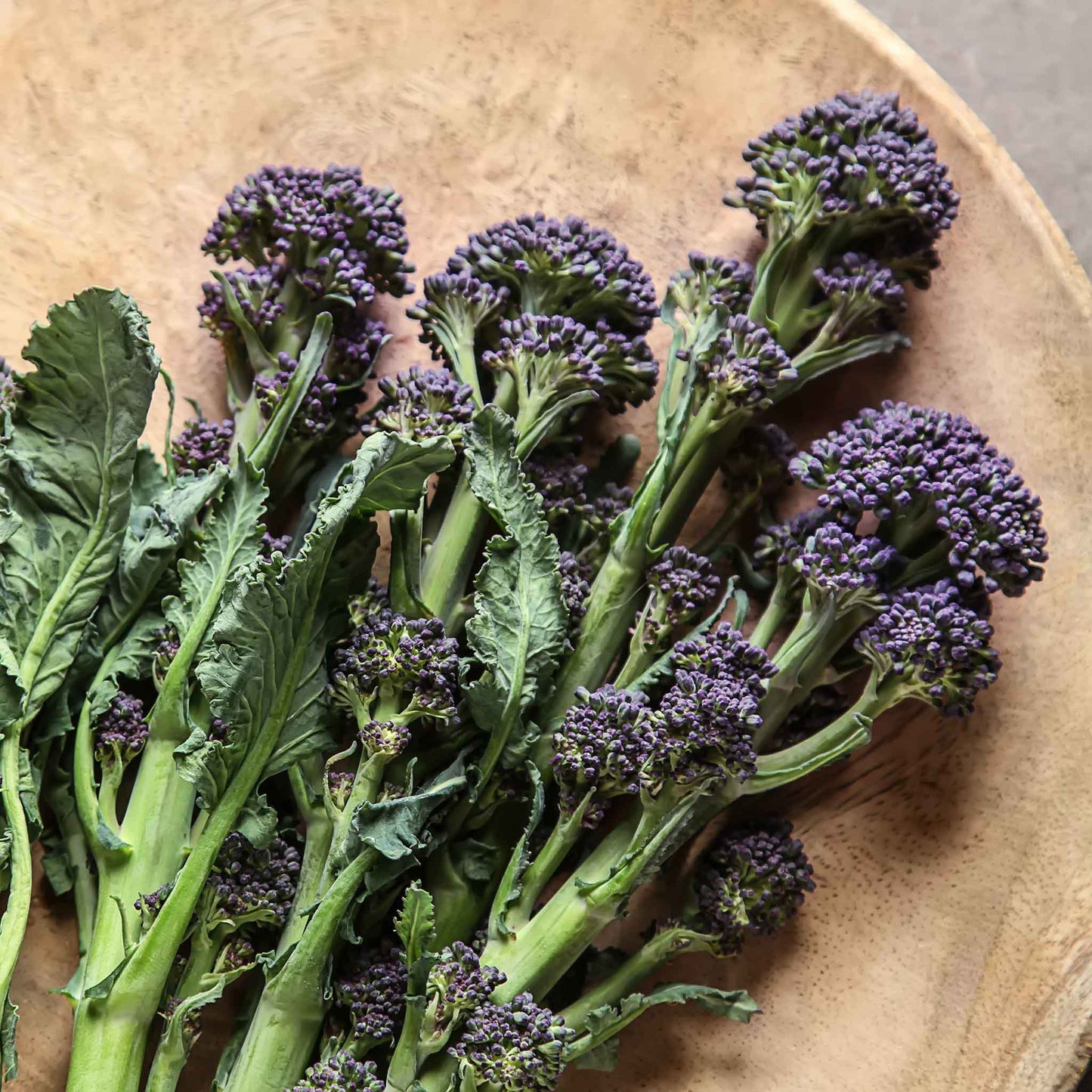 Close-up of purple sprouting broccoli heads with vibrant purple florets and green stems.
