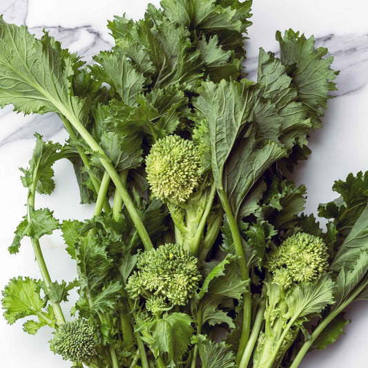 A vibrant green broccoli spring rapini plant with broad leaves and small, tightly clustered florets.