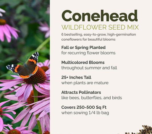 A visual overview of the wildflower seed mix, showcasing expected floral blooms.