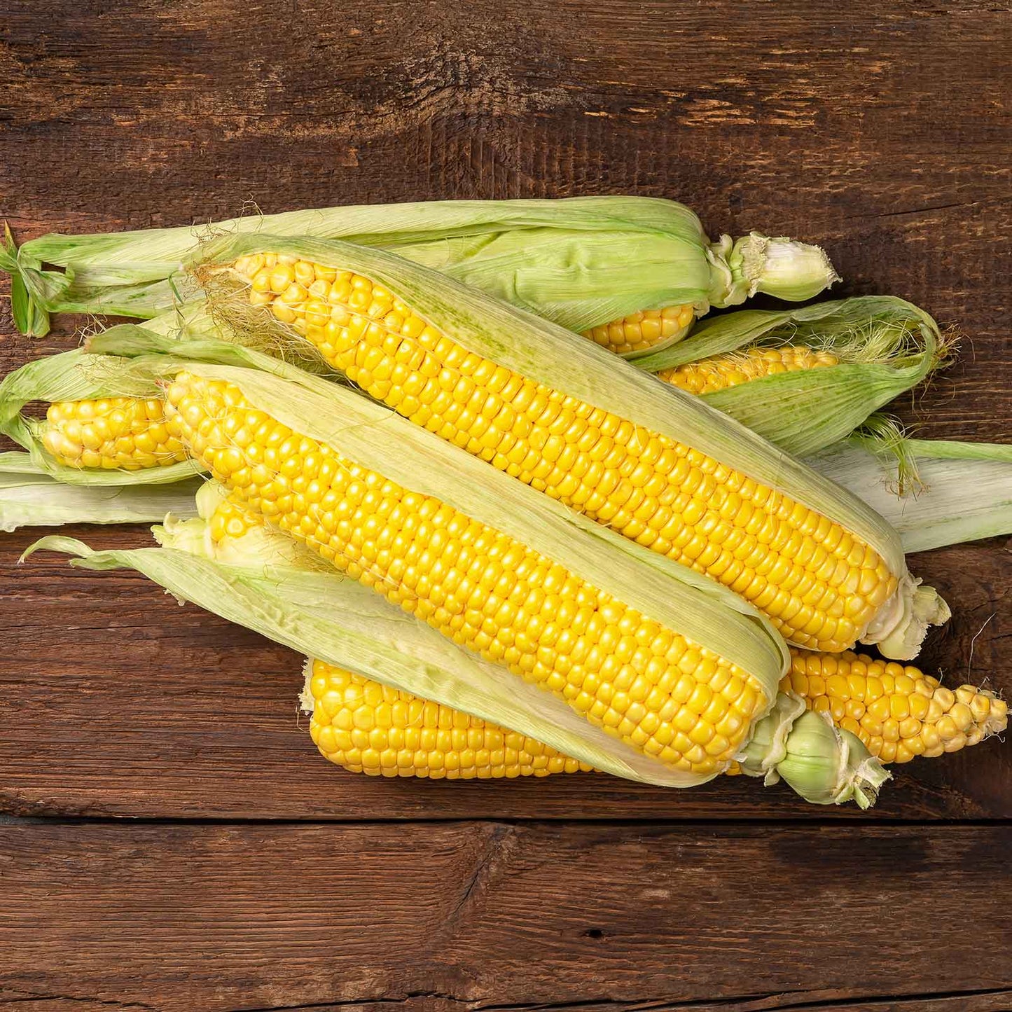 Close-up of a Jubilee yellow corn with green husks, showcasing the kernels.