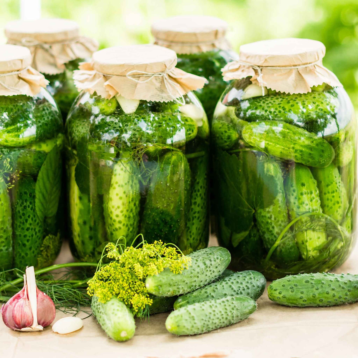 A close-up of organic Homemade Pickles cucumbers in jars being pickled,