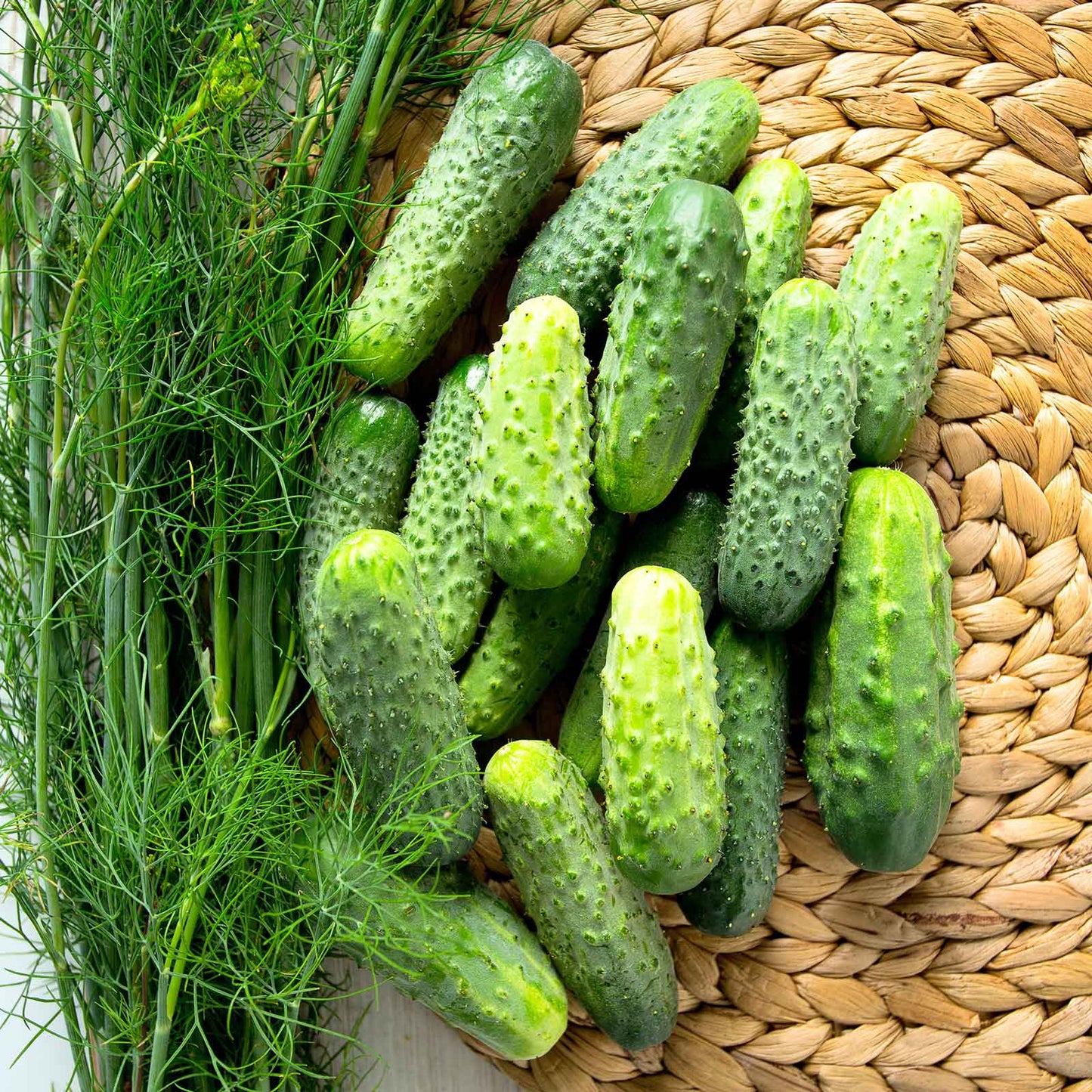 A close-up shot of green SMR 58 cucumbers, highlighted against a light background, emphasizing their texture.