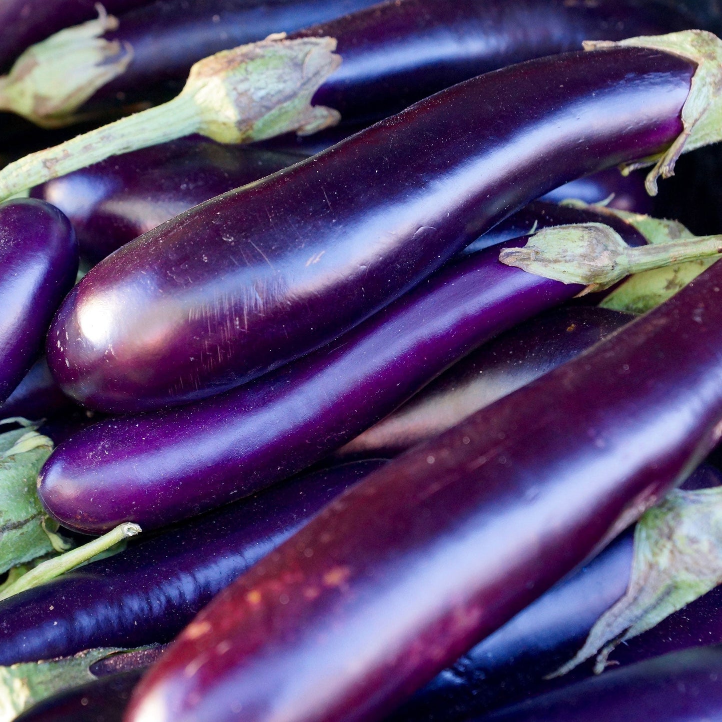 A cluster of glossy, dark purple 'Long Purple' eggplants with elongated bodies.