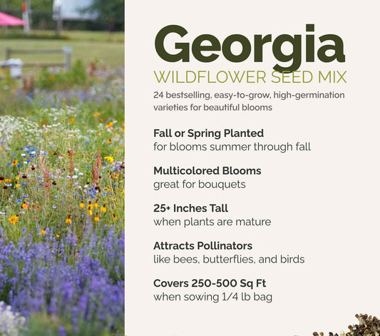 A visual overview of the wildflower seed mix, showcasing expected floral blooms.