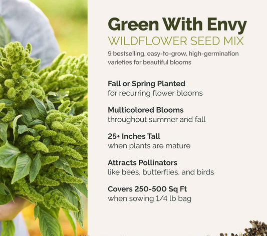 A visual overview of the wildflower seed mix, showcasing expected floral blooms.