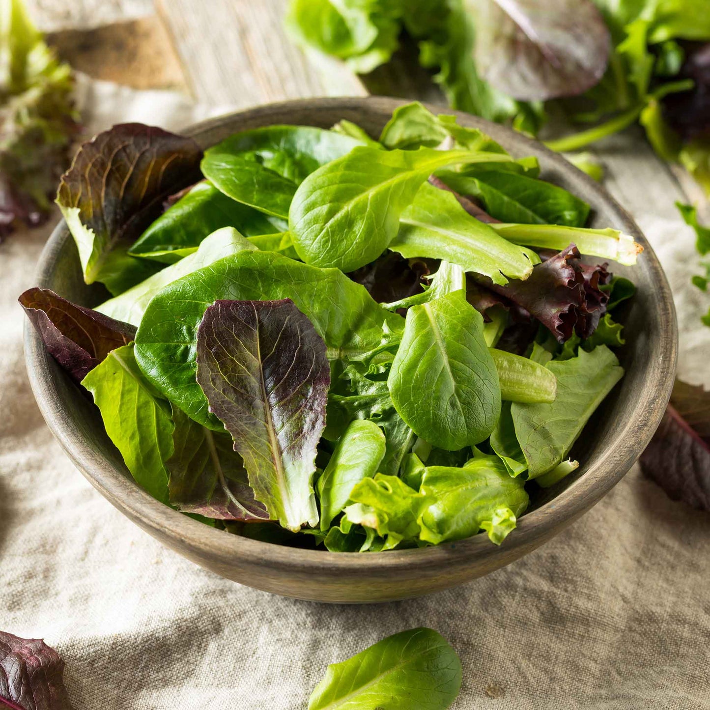 A bowl of Tricolor Romain Mix Lettuce leaves prepped for a salad.