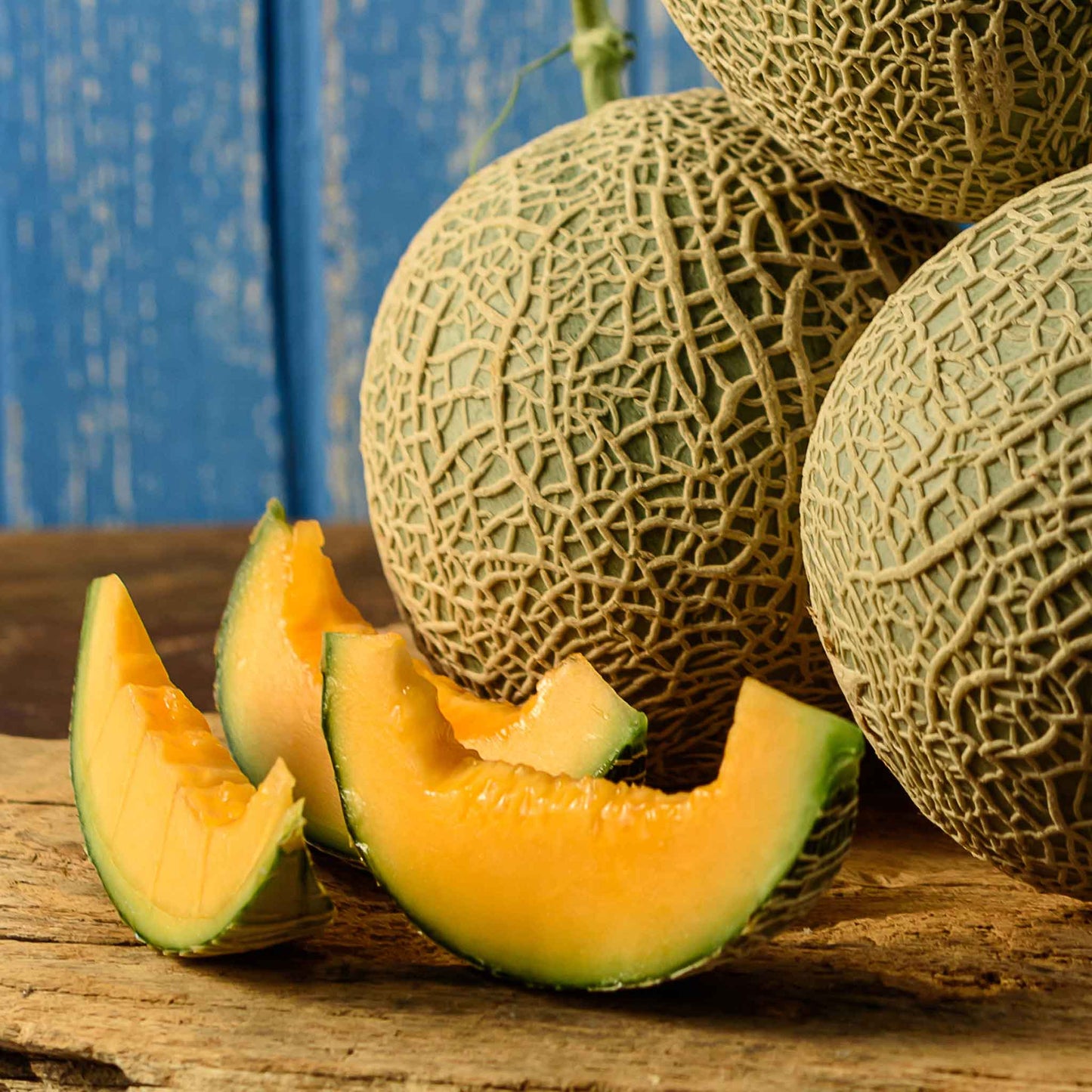 A close-up shot of a single "Top Mark" melon, showcasing its smooth, light green skin with netting.