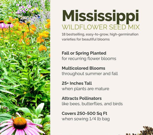 A visual overview of the wildflower seed mix, showcasing expected floral blooms.
