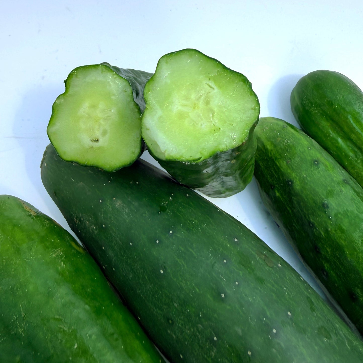Muncher Cucumber