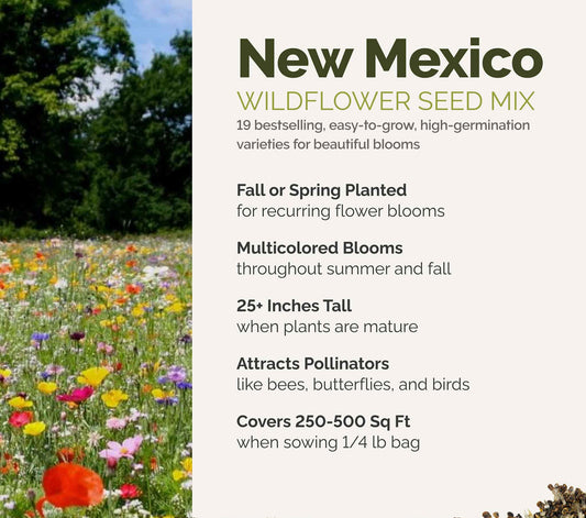 A visual overview of the wildflower seed mix, showcasing expected floral blooms.