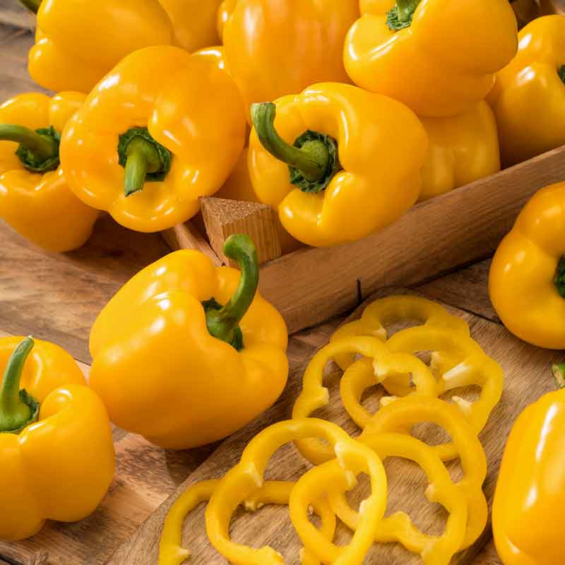 A lot of California Wonder Yellow peppers showing glossy skin, green stems, and slices of pepper. | copyright: Floramedia UK Ltd