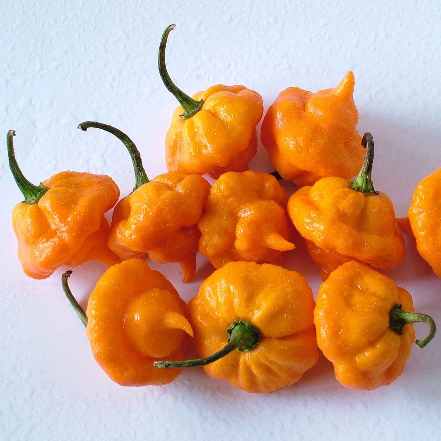 A cluster of small, bright Jamaican Hot Yellow peppers with smooth, glossy skin, hanging from a green stem.