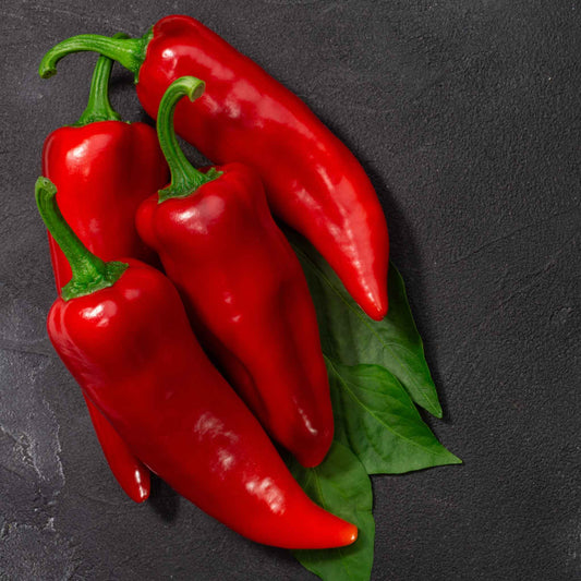 Harvest view of Sweet Pepper Marconi Red, showing ripe color, natural shape, and surface texture clearly.
