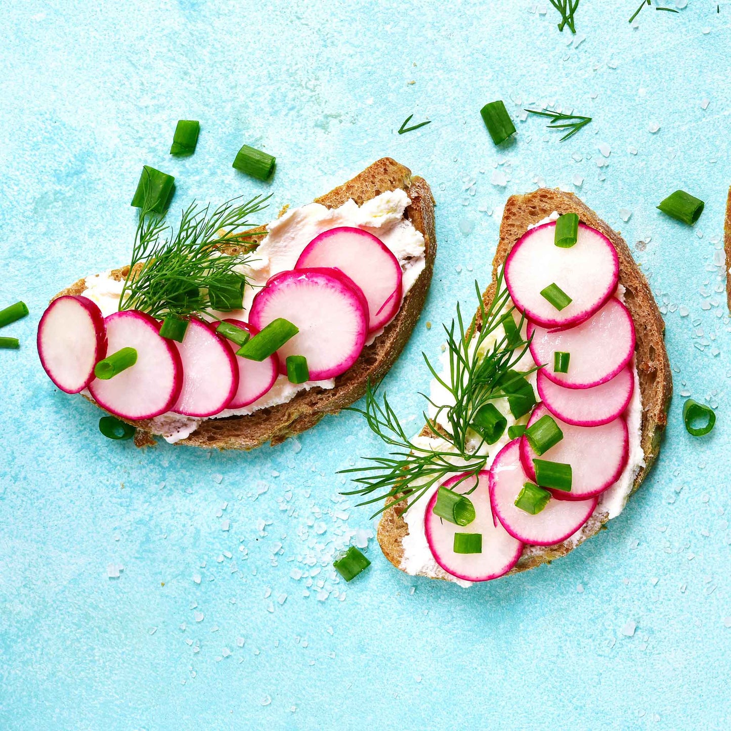 Sliced French Breakfast radishes on pieces of toast to be eaten.