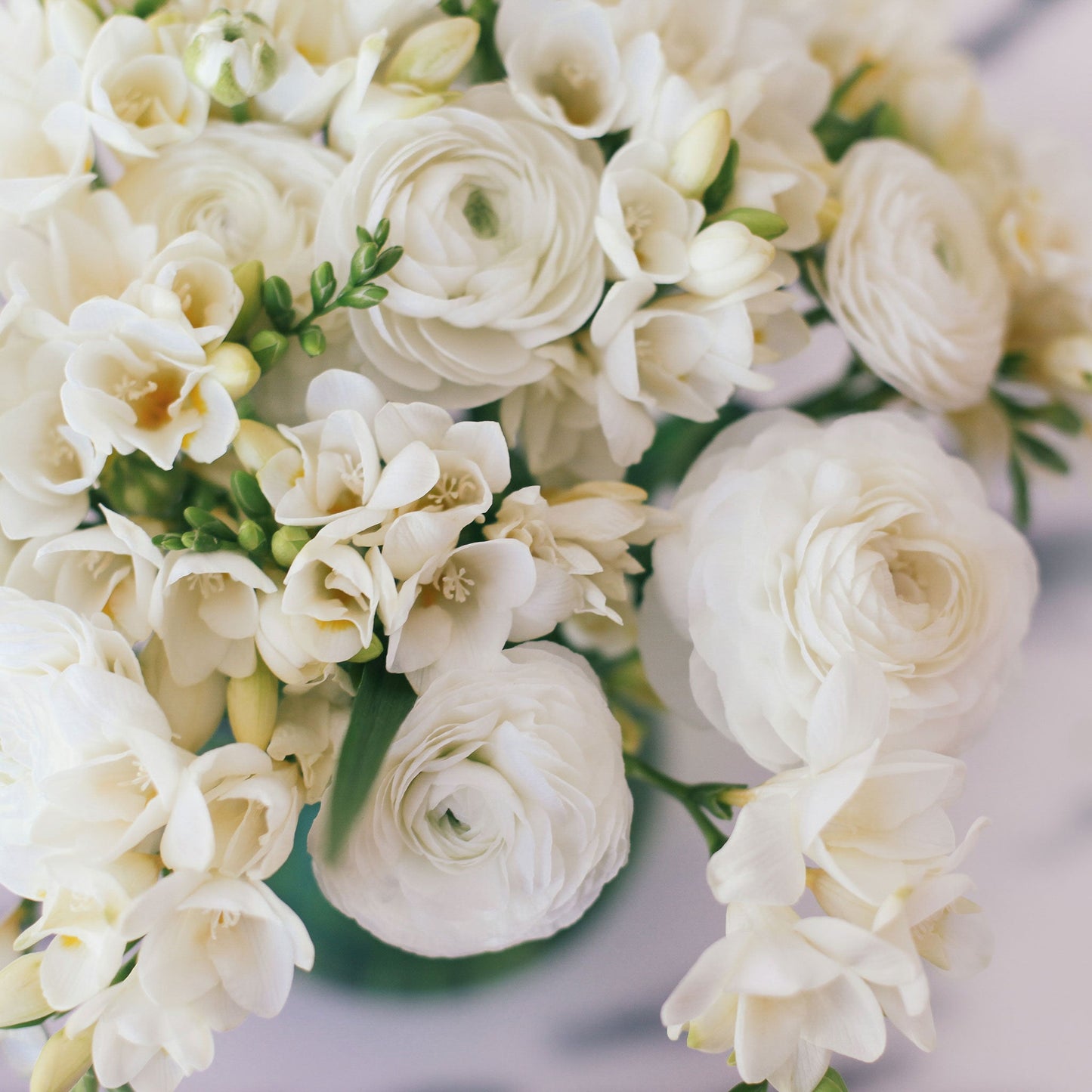 Close-up of three different colors of ranunculus and freesia flowers with green leaves.