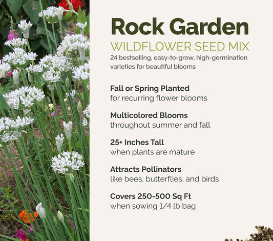 A visual overview of the wildflower seed mix, showcasing expected floral blooms.