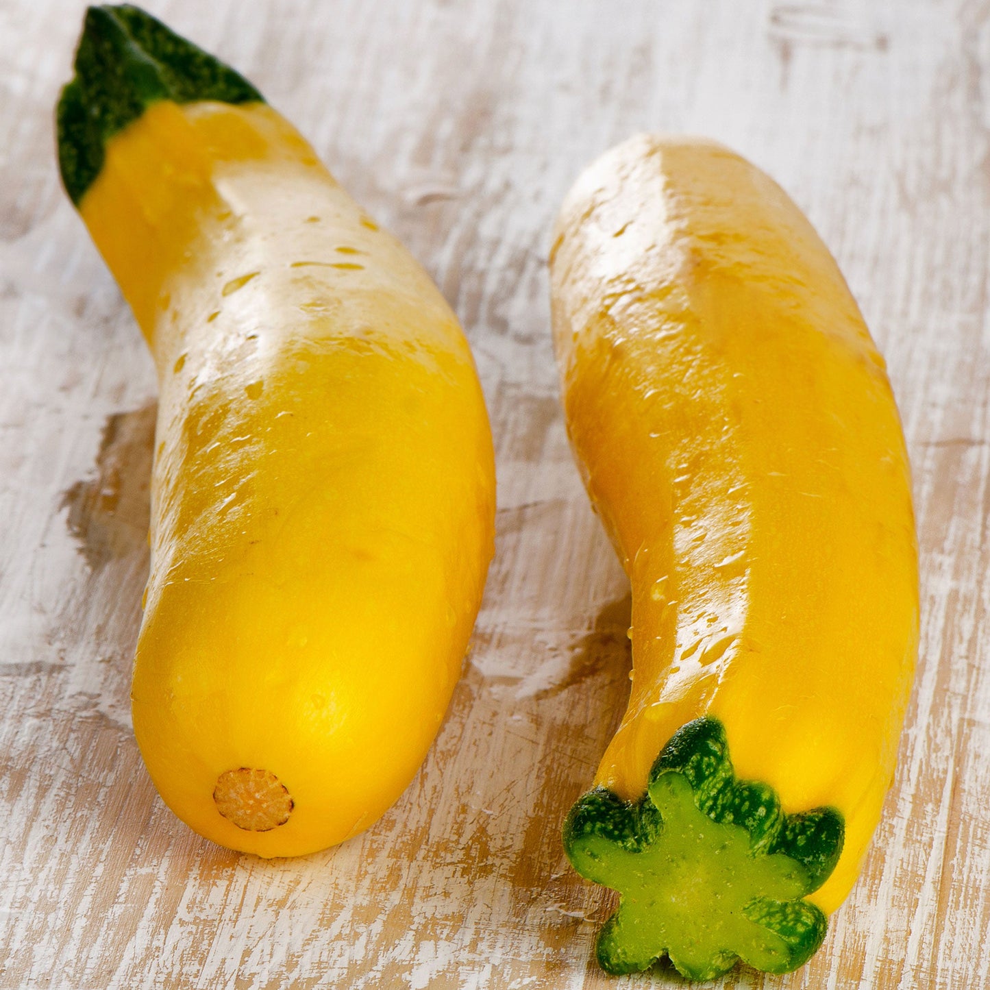 A shot of Early Prolific Straightneck squash showing their yelow skin and green stem.