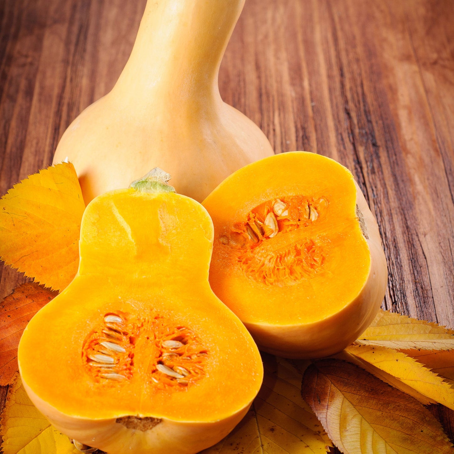 A close-up shot of an organic Waltham Butternut squash, showing its smooth, tan skin and elongated shape.