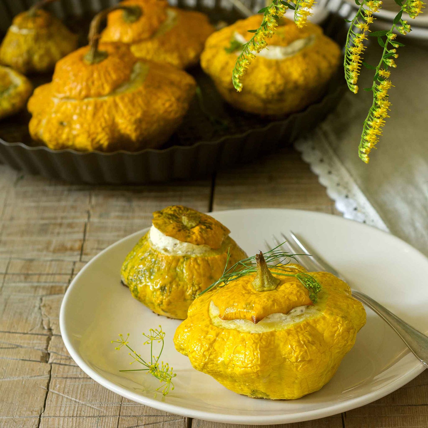 A plate of stuffed Scallop Yellow Bush squash ready to be eaten.