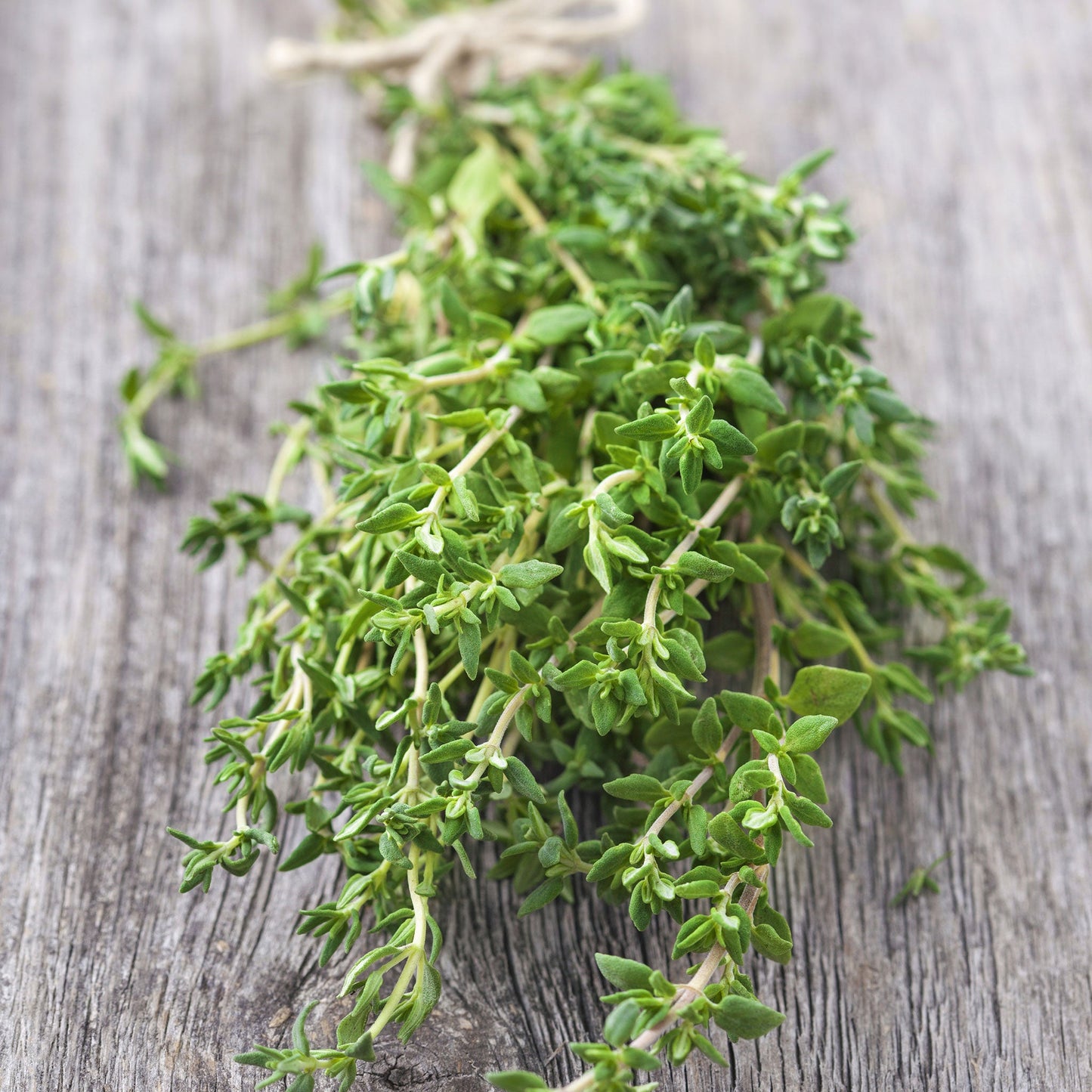 A bundle of fresh thyme leaves tied together, placed on a wooden surface.