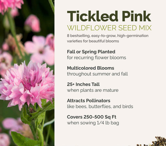 A visual overview of the wildflower seed mix, showcasing expected floral blooms.