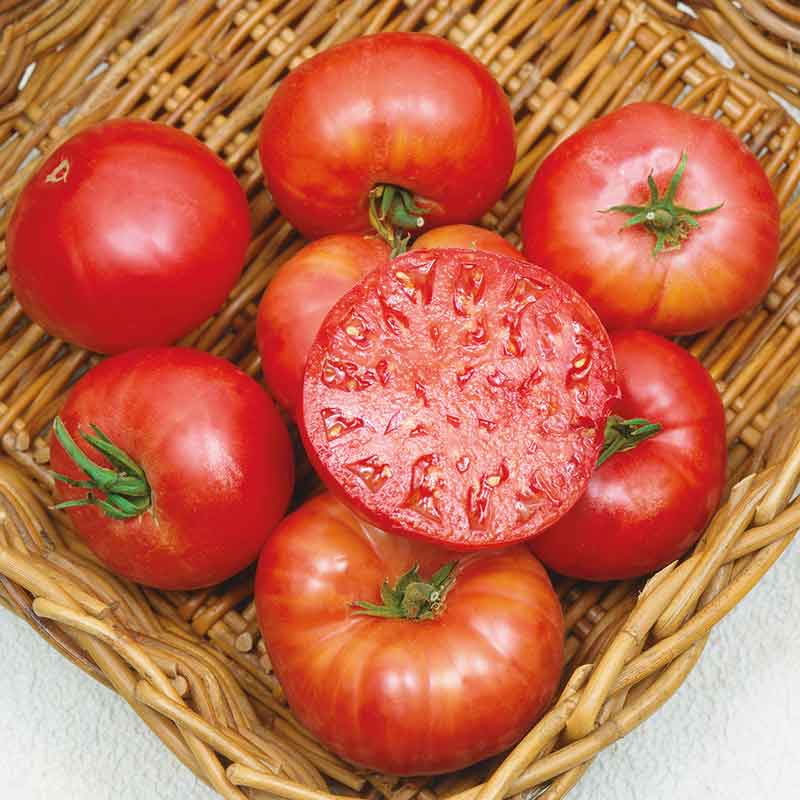 A group of ripe, large red Mortgage Lifter tomatoes with a green stem and one sliced on top.