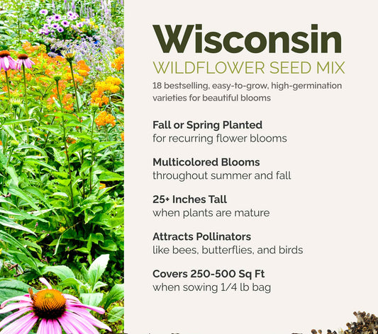 A visual overview of the wildflower seed mix, showcasing expected floral blooms.