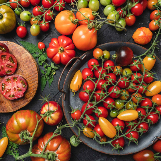 Vegetable Seeds