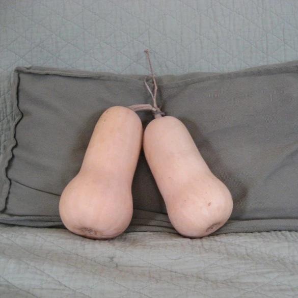 A pair of lovebird butternuts taking a long winter's nap—they'll last well into spring in a cool corner. (Though they appreciate delicate handling, they do not really need pillows.)