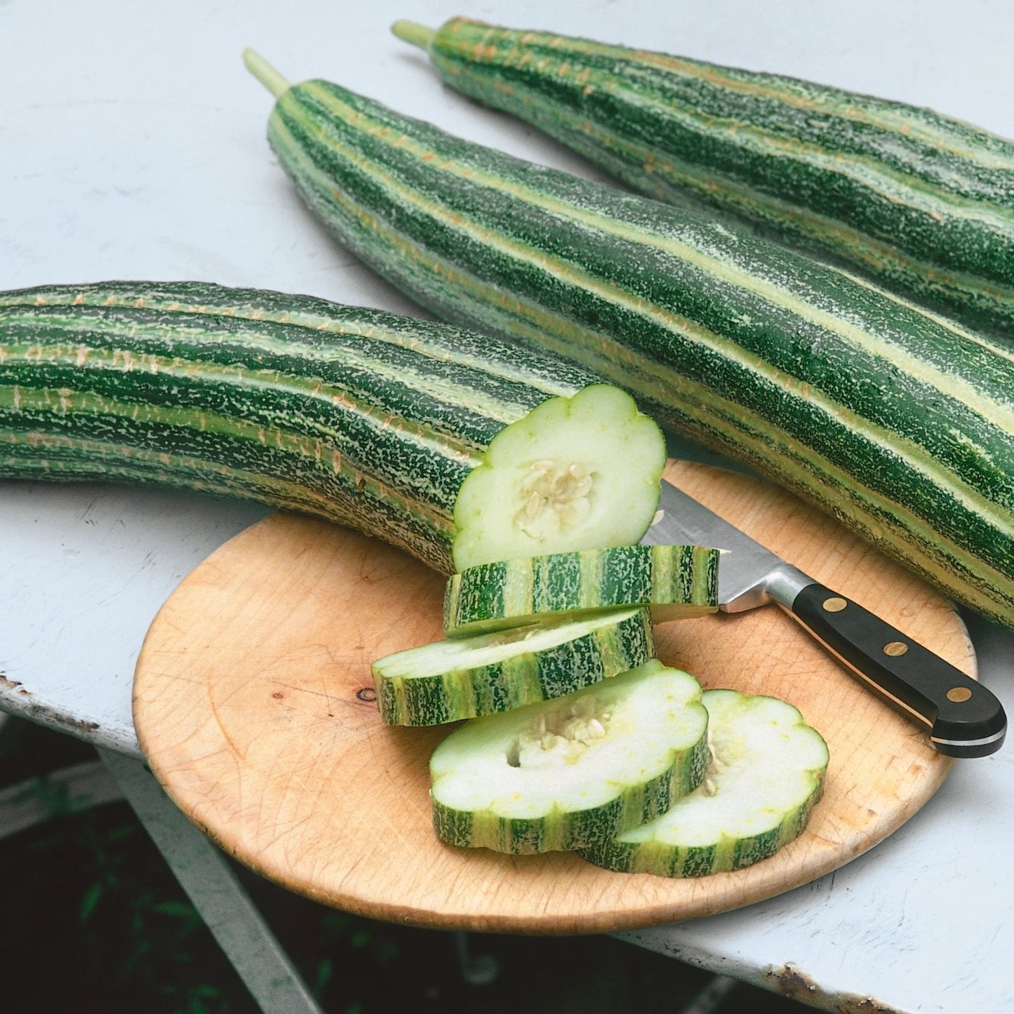 Painted Serpent Cucumber