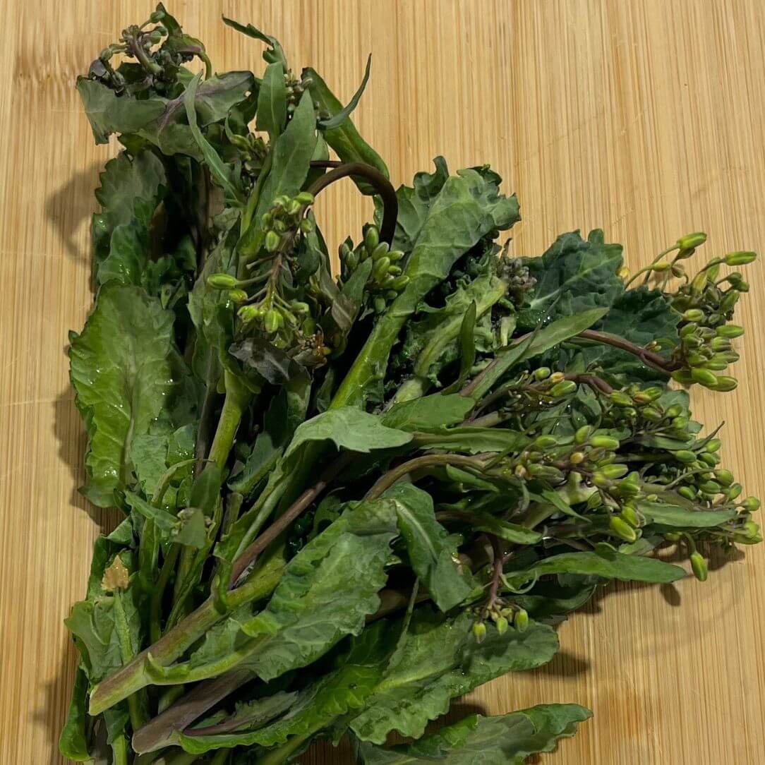 Norabouna