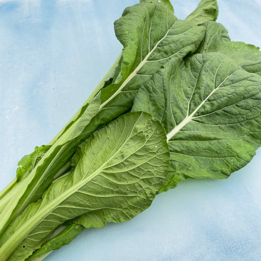 Tendergreen Komatsuna – vegetable seed variety