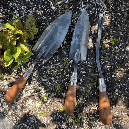 Piginor Dandelion Weeder