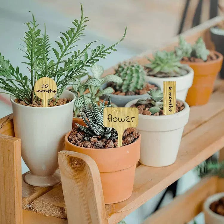 Bamboo Plant Labels