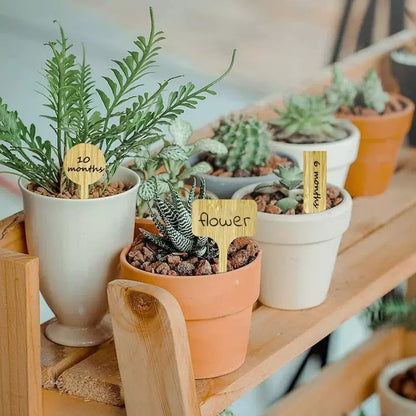 Bamboo Plant Labels