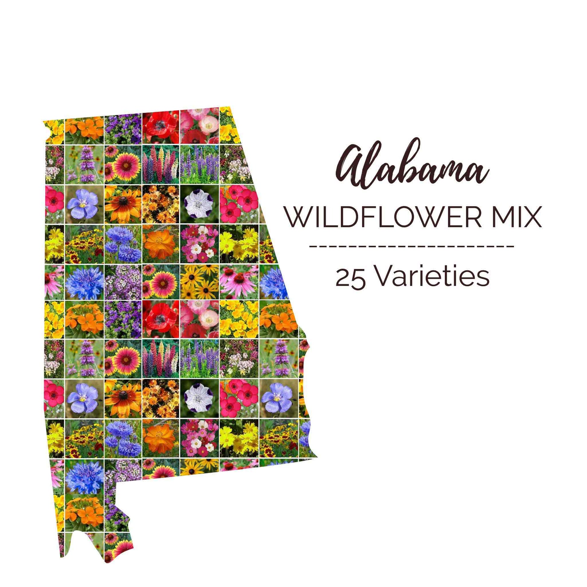 Graphic of the outline of the state for Alabama Wildflower Seed Mix that contains images of the flowers in the mix