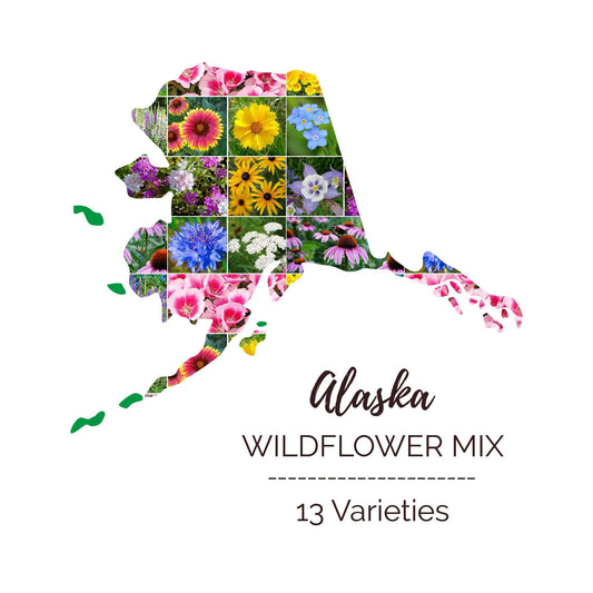Graphic of the outline of the state for Alaska Wildflower Seed Mix that contains images of the flowers in the mix