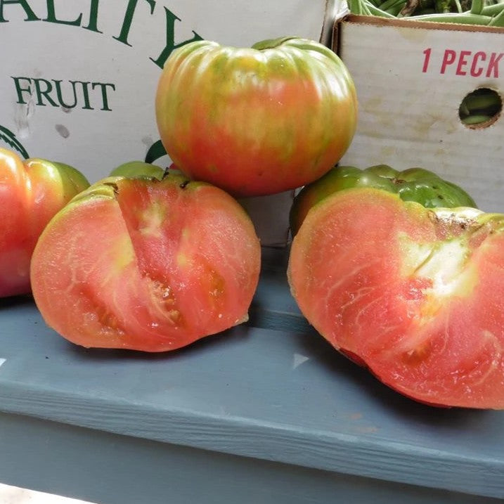 Aubry's Special Pinks Tomato vendor-unknown