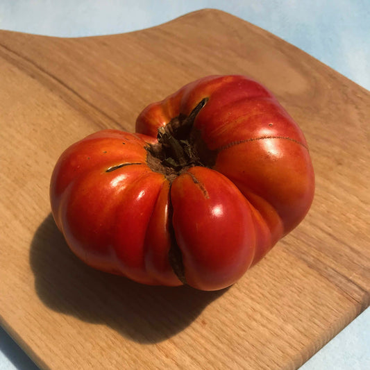 Brandywine Tomato (Pink Strain) vendor-unknown