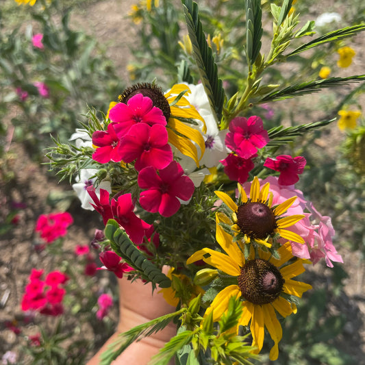 For the Birds Flower Mix – flower seed variety